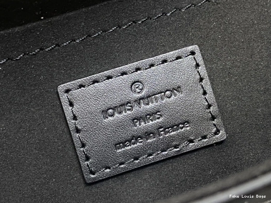 Fake Louis Bags LOUIS Monogram Box Canvas VUITTON Camera 0809